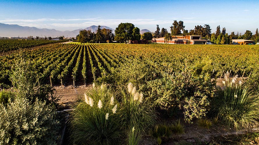 Almaviva 2024