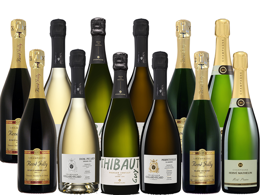 Best of 2025 - Champagner - 12er-Paket