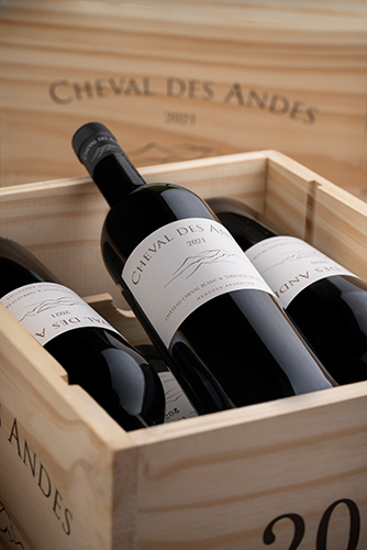 Cheval des Andes 2022