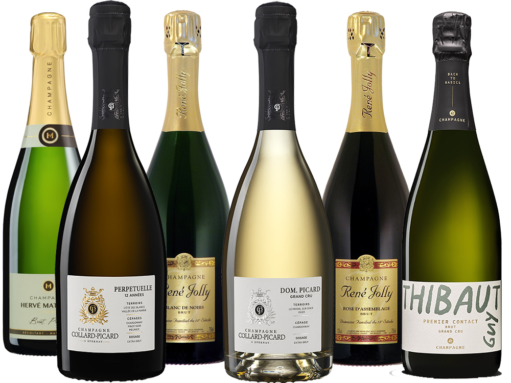 Best of 2025 - Champagner - 6er-Paket 